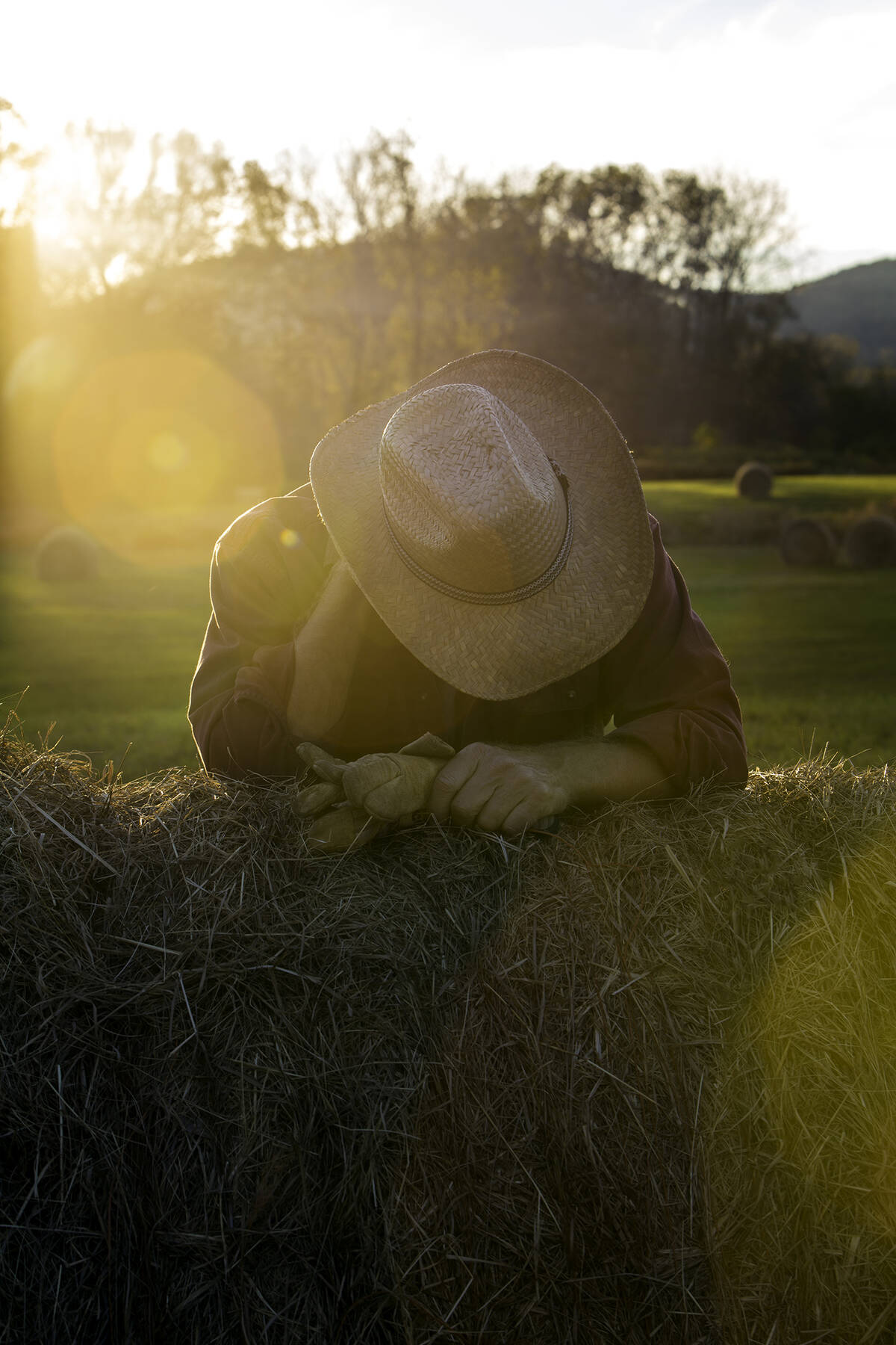 Tired, worried ranch farmer rubbing neck leaning against hay. Backlit at sunset with lens flare
