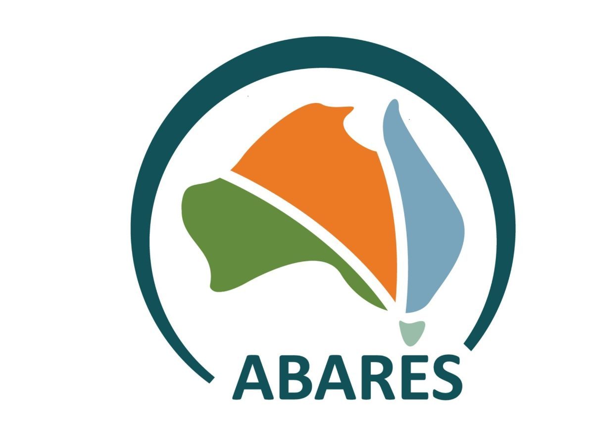 Prairie cash wheat: Bids fall with U.S. futures