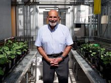 Leon Kochian, Canada Excellence Research Chair in Global Food Security at the University of Saskatchewan received a fellowship from the Royals Society of Canada. Kochian has spent four decade studying root architecture. Photo: Erin Matthews/University of Saskatchewan