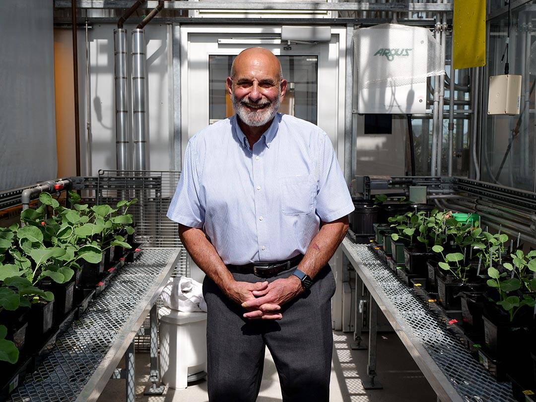 Leon Kochian, Canada Excellence Research Chair in Global Food Security at the University of Saskatchewan received a fellowship from the Royals Society of Canada. Kochian has spent four decade studying root architecture. Photo: Erin Matthews/University of Saskatchewan