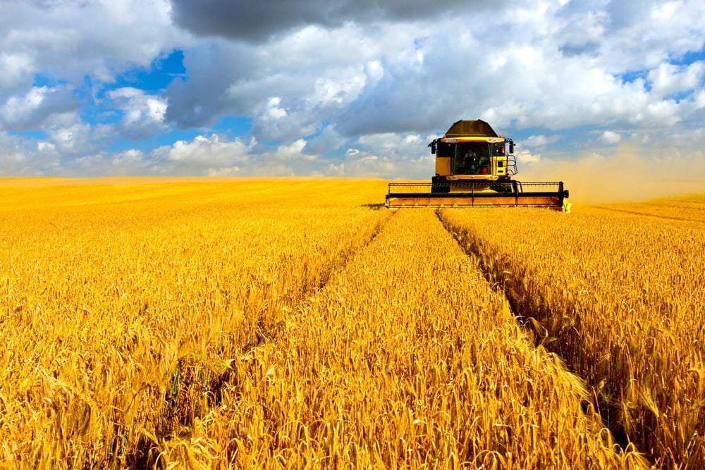 The harvest in Saskatchewan advanced 13 points for the week ended Sept. 16, at 74 per cent complete, despite rain in some parts of the province. Photo: Thinkstock