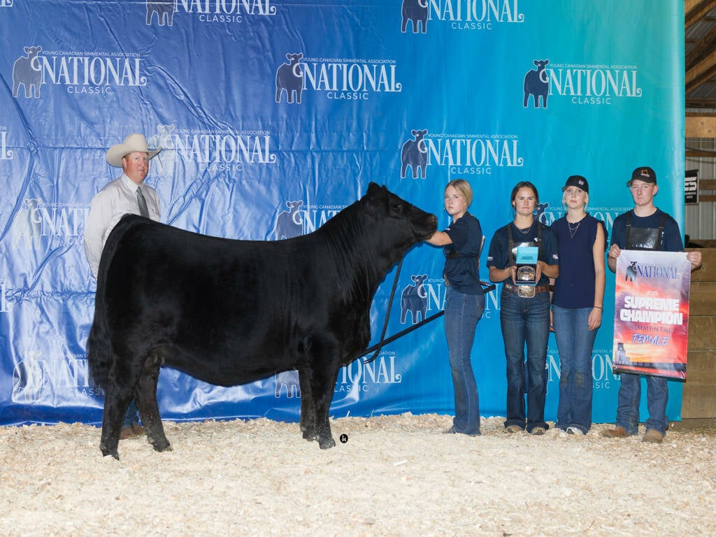 Grand Champion Purebred/Fullblood Female: RF Scream 4128, exhibited by Abby Rancier. Photo: Supplied