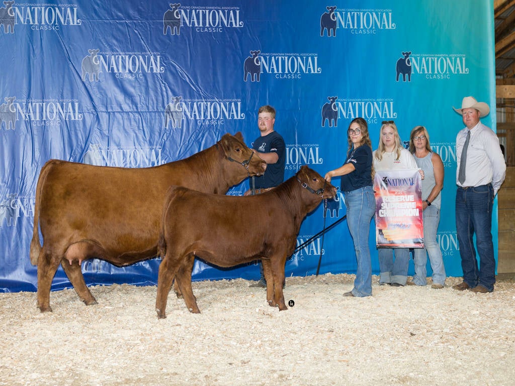Reserve Champion Purebred/Fullblood Female: Brooksland Lainey 313L, exhibited by Cody Carson. Photo: Supplied
