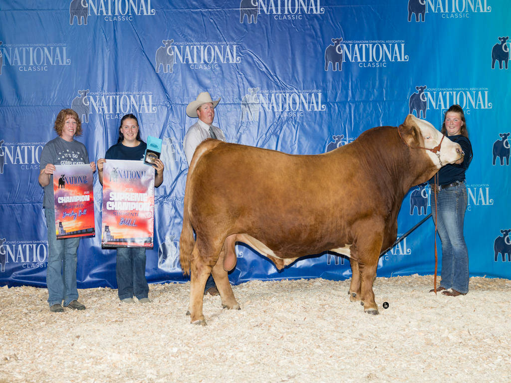 Grand Champion Purebred/Fullblood Bull: CNT MAV 1M, exhibited by Cassidy Beres. Photo: Supplied