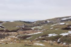 Ranchland in the Cypress Hill, Sask. Farmers and ranchers aren't the only ones who feel like everything falls on them. Photo: Lisa Guenther