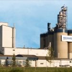 Richardson International&#8217;s Yorkton, Sask. canola crush plant. (CNW Group/Richardson International)
