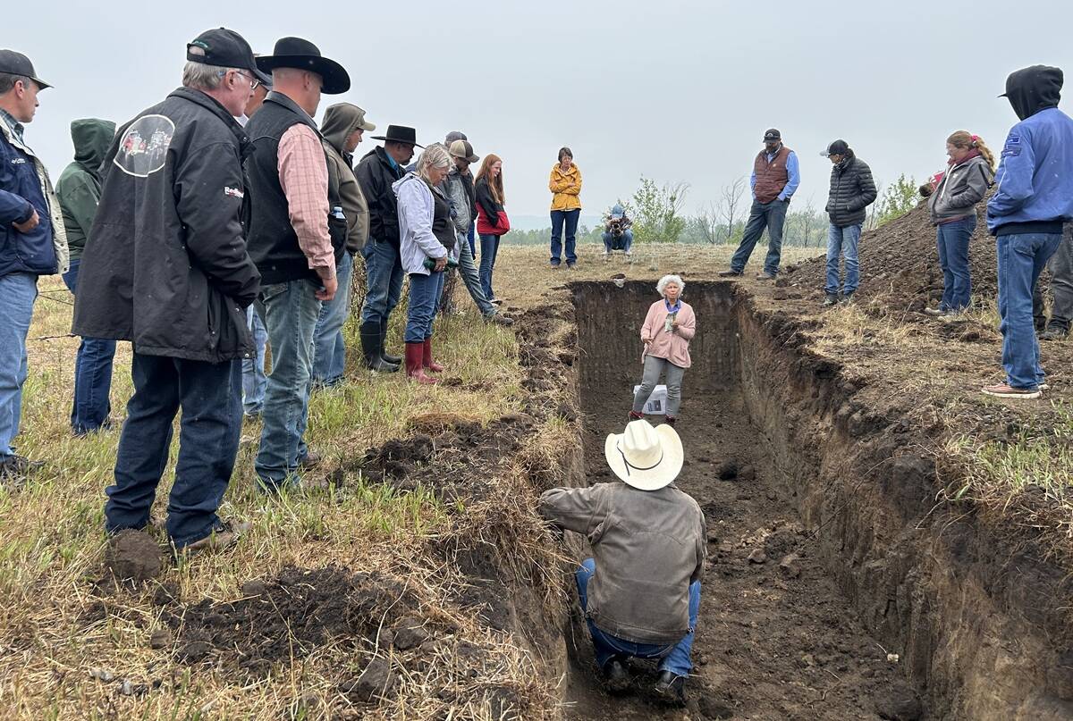 Yamily Zavala, PhD, talks soil health while in a soil pit near Paradise Hill, Sask. Zavala was the featured speaker during the Saskatchewan-Alberta Grazing Club Field Day on August 8, 2025.