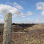 Barbed wire encloses a pasture on an Alberta ranch.