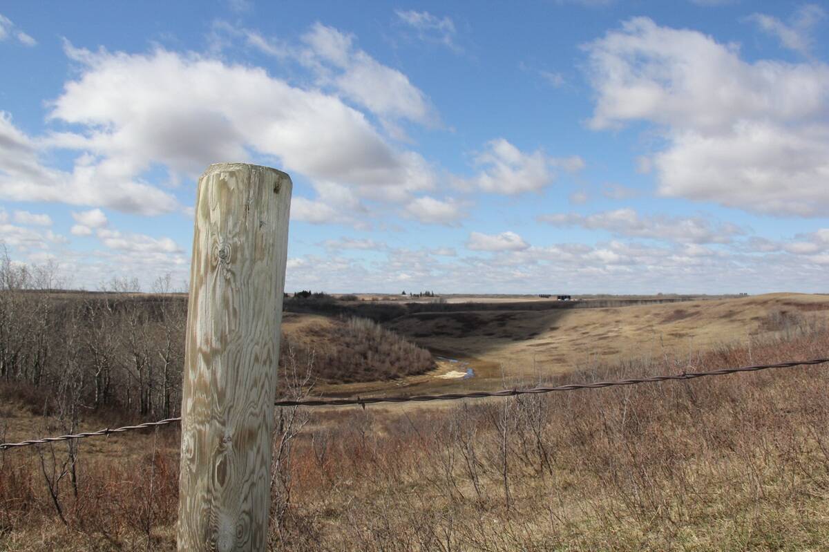 Barbed wire encloses a pasture on an Alberta ranch.
