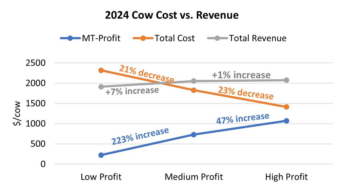 Figure 2. Medium-term profit, total cost and total revenue of low-, medium- and high-profit groups