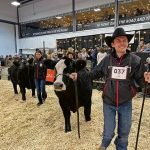 Wheatland Lady 211H, with calf Wheatland Bull 4177M, was named Supreme female at Canadian Western Agribition 2024. The heifer was owned by the Wheatland Cattle Co. in Bienfait, Sask., Michelson Land & Cattle and G2 Cattle Co. Riley Lafrentz is in the foreground leading the cow and his wife, Madison, leads the bull calf.