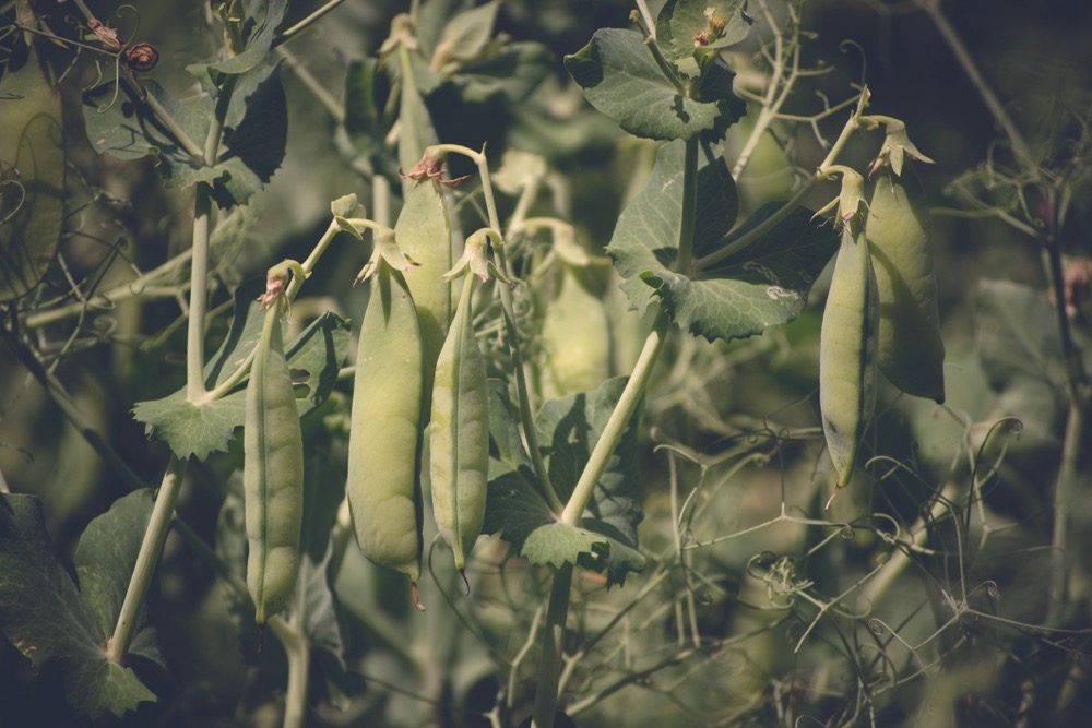Photo: Thinkstock