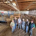 Farm families work together to graze cropland with cattle in the fall