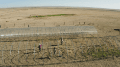 The Semi-arid Grassland Research Center was used in the International Drought Experiment as part of this research. Credit: CSU College of Natural Sciences