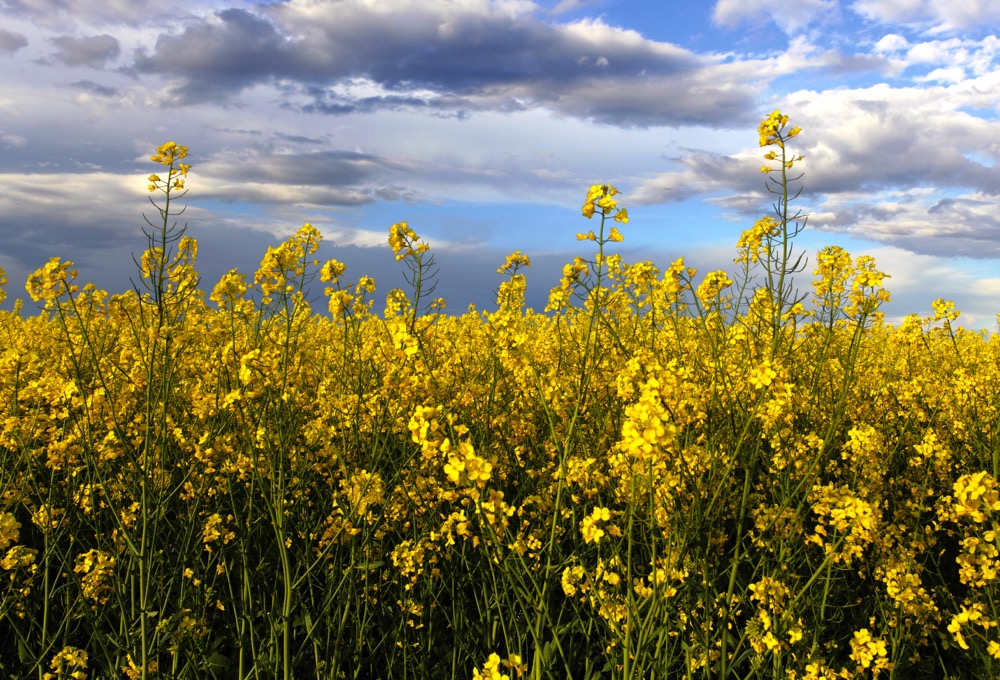 Photo: Thinkstock