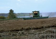 A field of flax is harvested in southern Manitoba. Photo: Donna Gamache/File