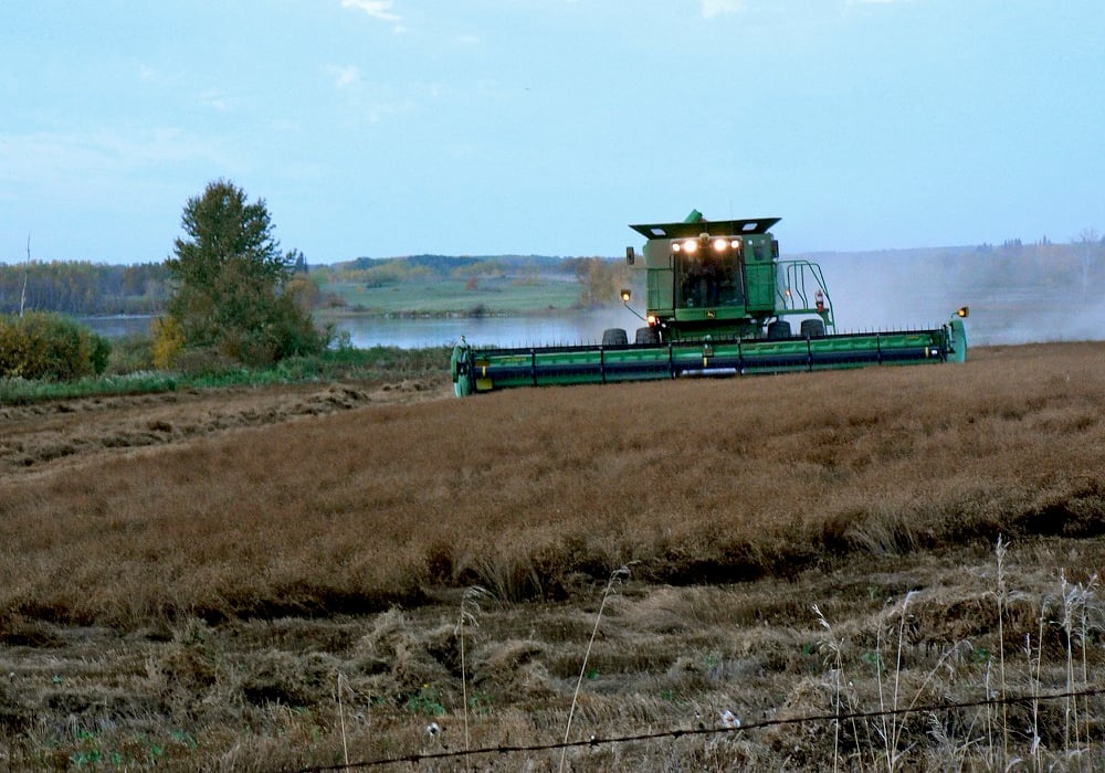 A field of flax is harvested in southern Manitoba. Photo: Donna Gamache/File