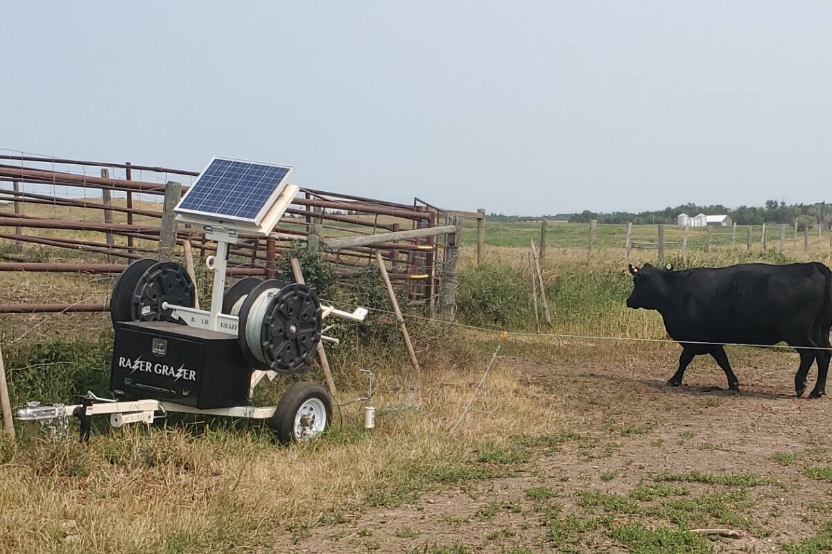 Range Ward's product Razer Grazer can be beneficial to extending the grazing season, especially for producers who are rotationally grazing or grazing alternative feed, like stubble. 