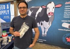 Founder, president and chief technology officer of BioFerScience, Behnam Abbasian.