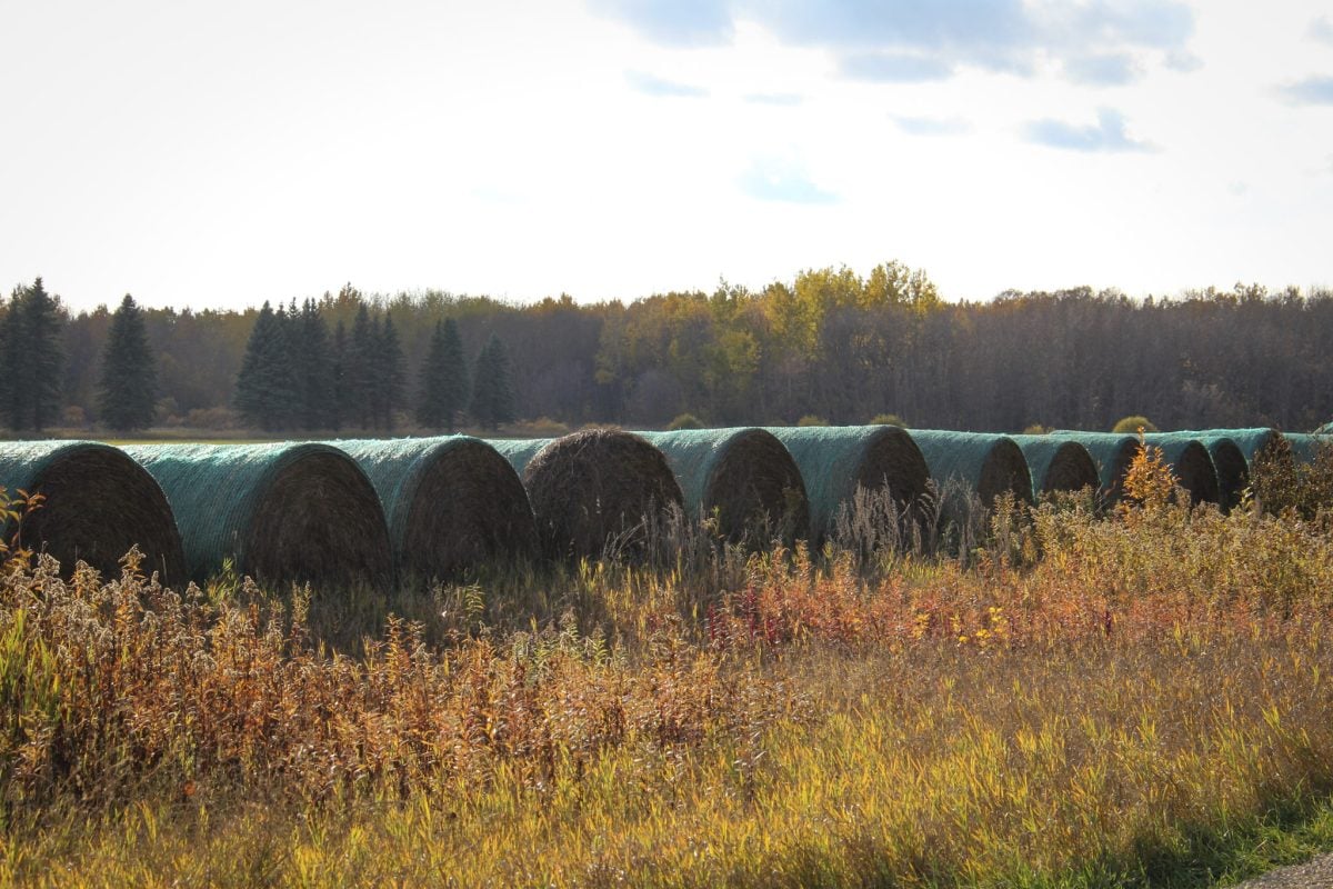 Photo: Geralyn Wichers
