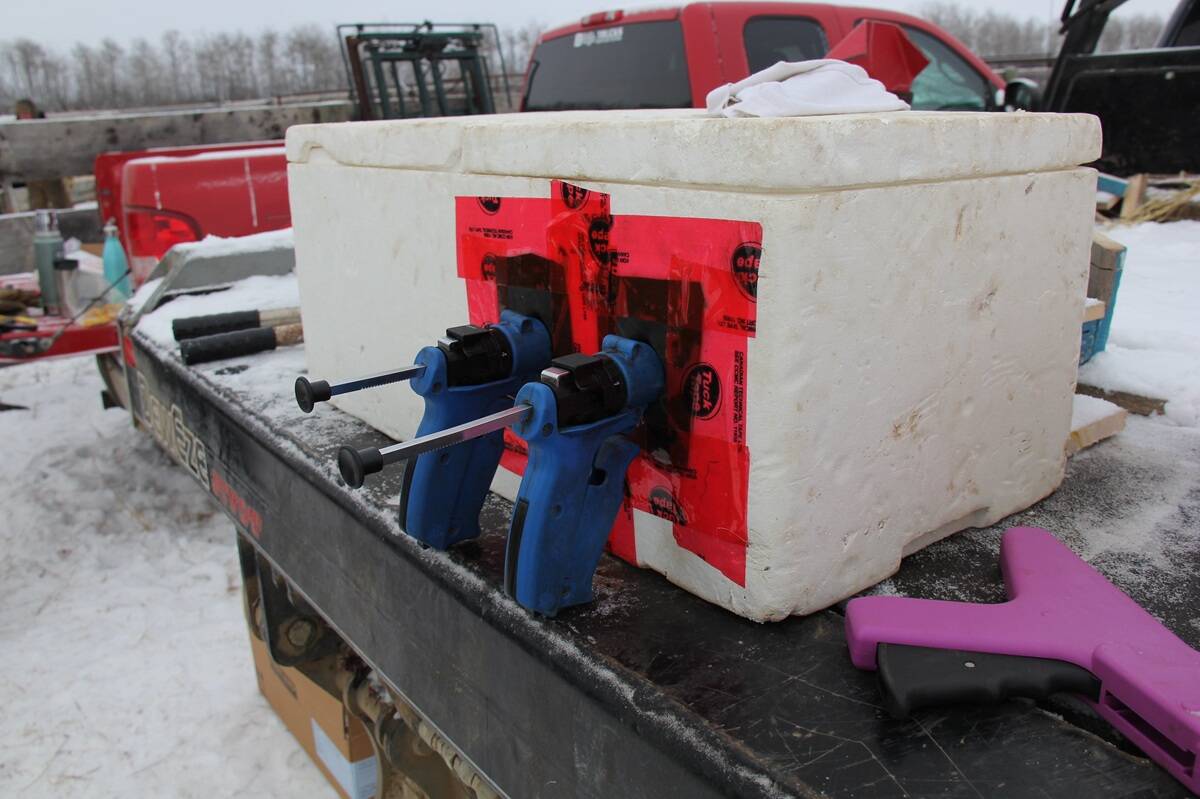 A cost-effective cooler to keep vaccines at the right temperature. Photo: Lisa Guenther