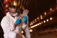 Europe, North America face early wave of bird flu cases