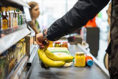 Canada’s Food Price Report expects the average family of four to see their food bill increased by $1,000, or four to six per cent, in 2026. Photo: Getty Images 
