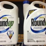 An influential glyphosate safety study has been formally retracted, raising questions about the future of the widely used herbicide. PHOTO: FILE
