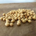 U.S. grains: Soy futures slide on China demand doubts