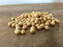 U.S. grains: Soy futures slide on China demand doubts