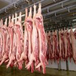 China’s anti-dumping investigation began in June last year and has affected major pork exporters such as Spain, the Netherlands and Denmark. Photo: hrabar/iStock/Getty Images
