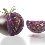 This August, U.S.-based Norfolk Healthy Produce received Health Canada’s approval to bring The Purple Tomato to Canada. Photo: Screencap via norfolkhealthyproduce.com
