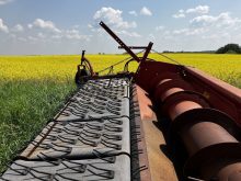 There are 14,000 farmers in Alberta who grow canola on 6.7 million acres according to Alberta Canola stats. Photo: Greg Berg
