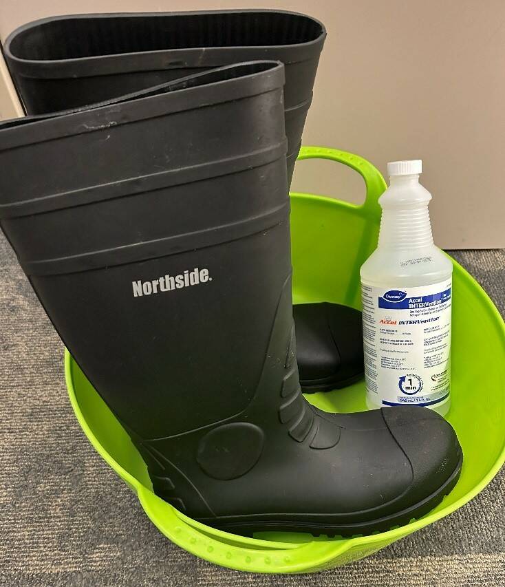 Regularly cleaning and disinfecting equipment, tools, trailers and transport vehicles is an important step in biosecurity planning to help maintain a healthy environment. Photo: Supplied