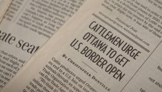 Article from the early days of the BSE crisis. Source: Canadian Cattle Association