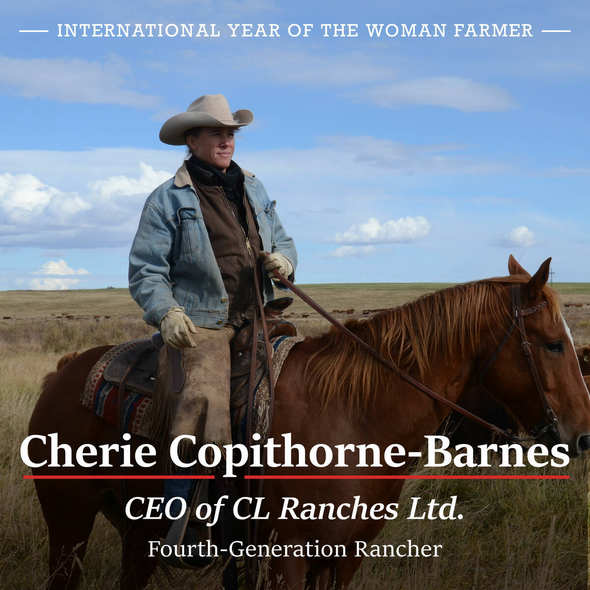 Image of Cherie Copithorne-Barnes for International Year of the Woman Farmer. Supplied by Canada Beef