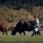 This image was part of the brand work. It represents family, commitment and care as part of the Canadian Beef Brand story - the producer pillar.