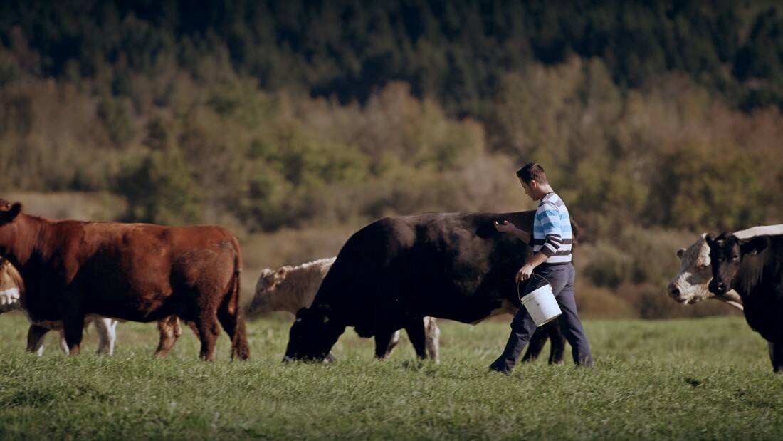 This image was part of the brand work. It represents family, commitment and care as part of the Canadian Beef Brand story - the producer pillar.