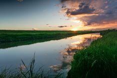 In the farmland area of Canada&rsquo;s Prairies, wetlands are being drained to increase crop production and expand urban development. Photo: Getty Images Plus
