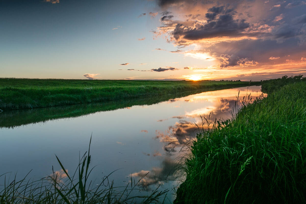 In the farmland area of Canada&rsquo;s Prairies, wetlands are being drained to increase crop production and expand urban development. Photo: Getty Images Plus
