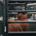 Photo: Geralyn Wichers
