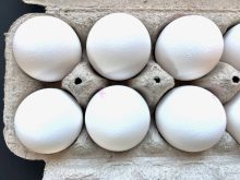Egg production expanded by 7.6 per cent last year to 937 million dozen. Photo: Alexis Stockford
