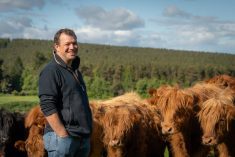Scottish beef producer Jock Gibson poses with his cattle in a field at his farm in Moray, Scotland. Photo: Jock Gibson