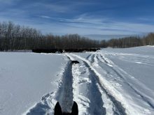 Lisa Guenther checking cattle. Photo: Lisa Guenther