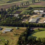 Aerial view of the Lacombe Research and Development Centre in central Alberta, showing farm buildings and surrounding agricultural land. The facility is among the Agriculture and Agri-Food Canada centres slated for closure under federal research cuts. Photo: AAFC