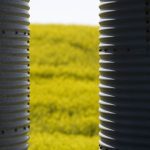 On April 1, profit-taking took May canola down C$13.30/tonne to close at C$718.50. However, it has still remained between C$710 to C$740 since March 24.
Photo: Getty Images Plus

