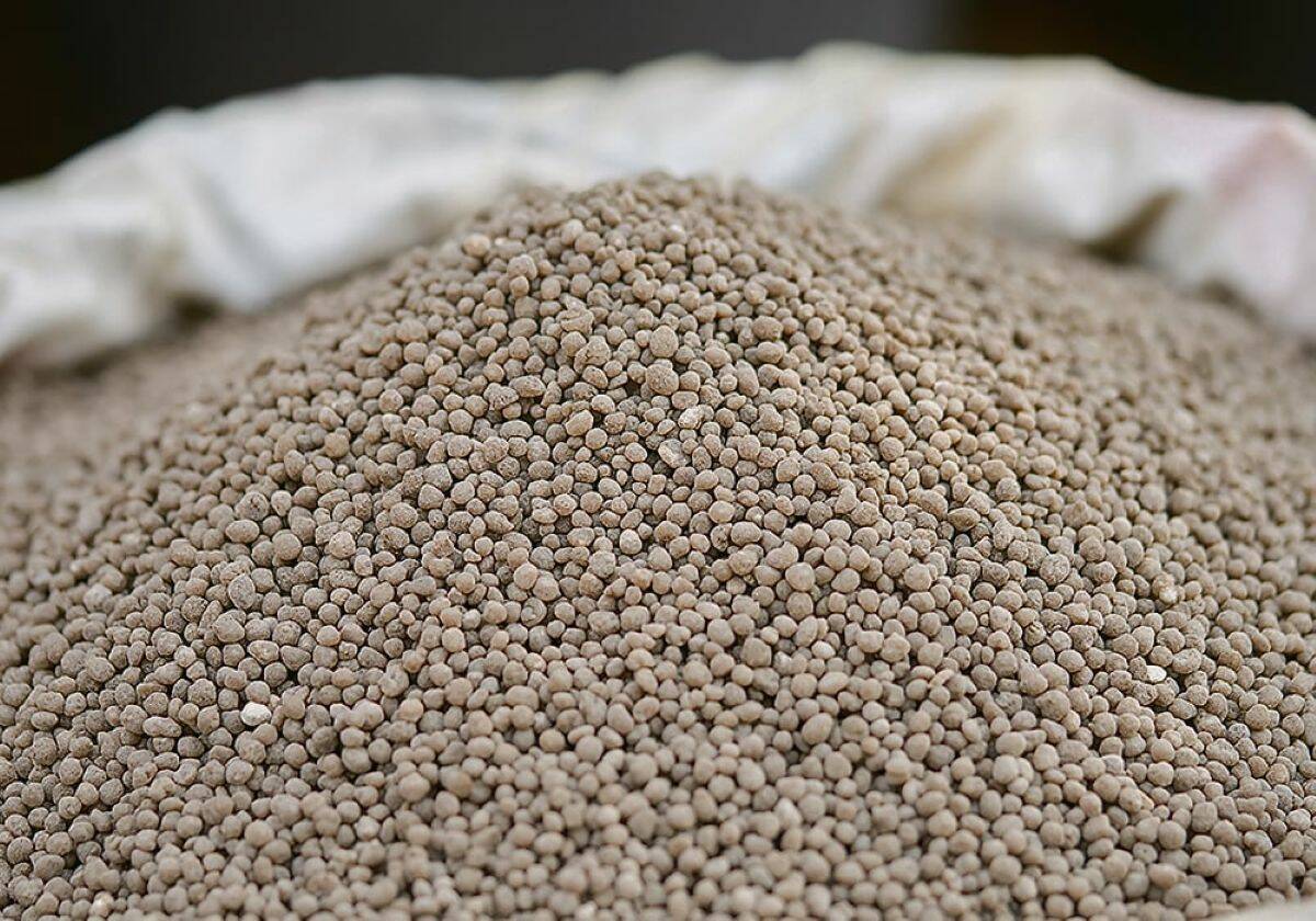 The fertilizer output reduction is temporary and OCP does not expect a significant impact on its annual production profile, a second company source said. Photo: Getty Images Plus

