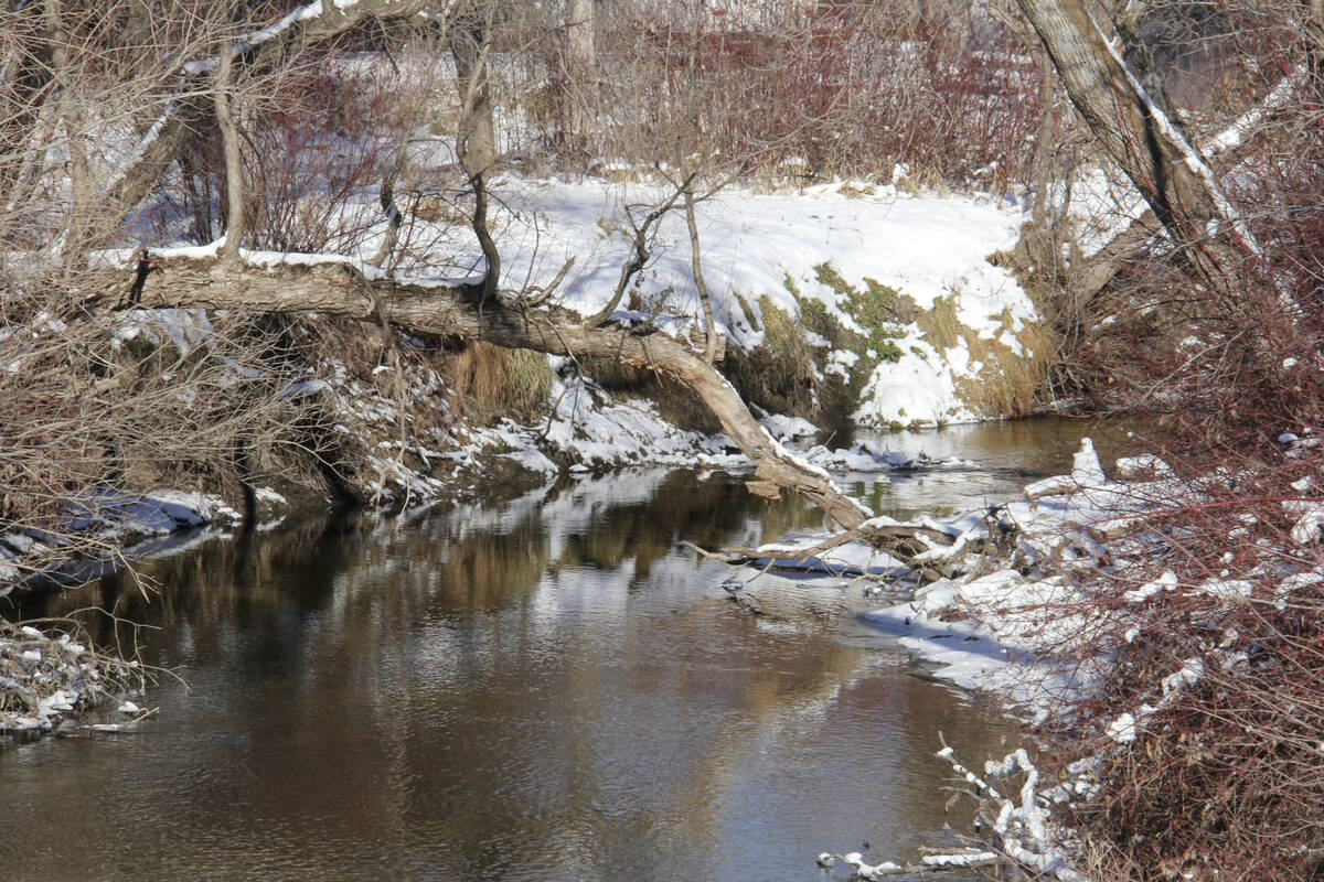 Spring is trying to arrive, but we just can&rsquo;t seem to completely shake winter&rsquo;s grip. Photo: Geralyn Wichers
