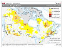 The March 2026 drought monitor map. Photo: Agriculture Agri-Food Canada
