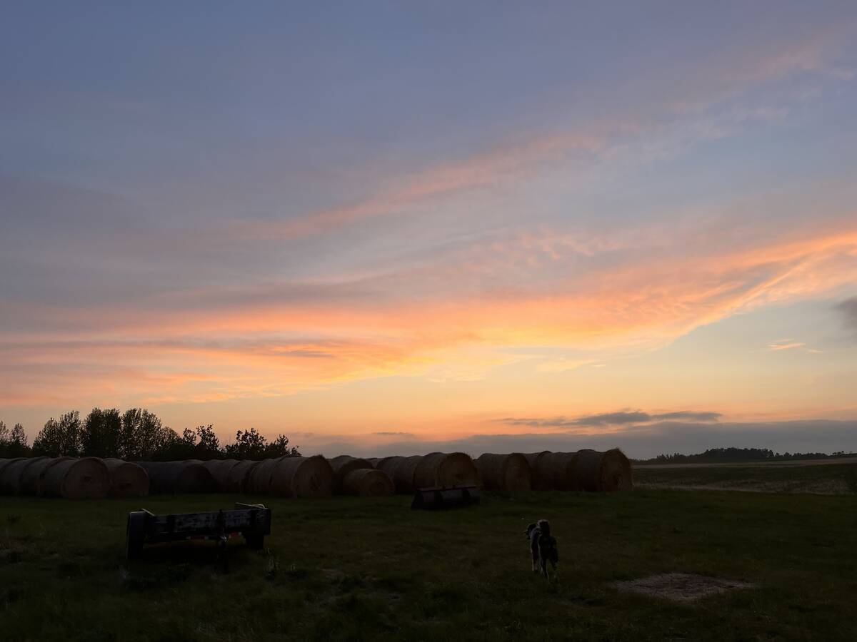 A sunset from Melissa Jeffers-Bezan&rsquo;s family farm, located near Inglis, Man. Photo: Melissa Jeffers-Bezan